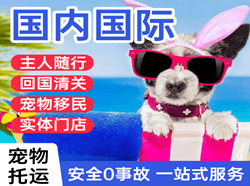 大连航空空运国际宠物托运 【国